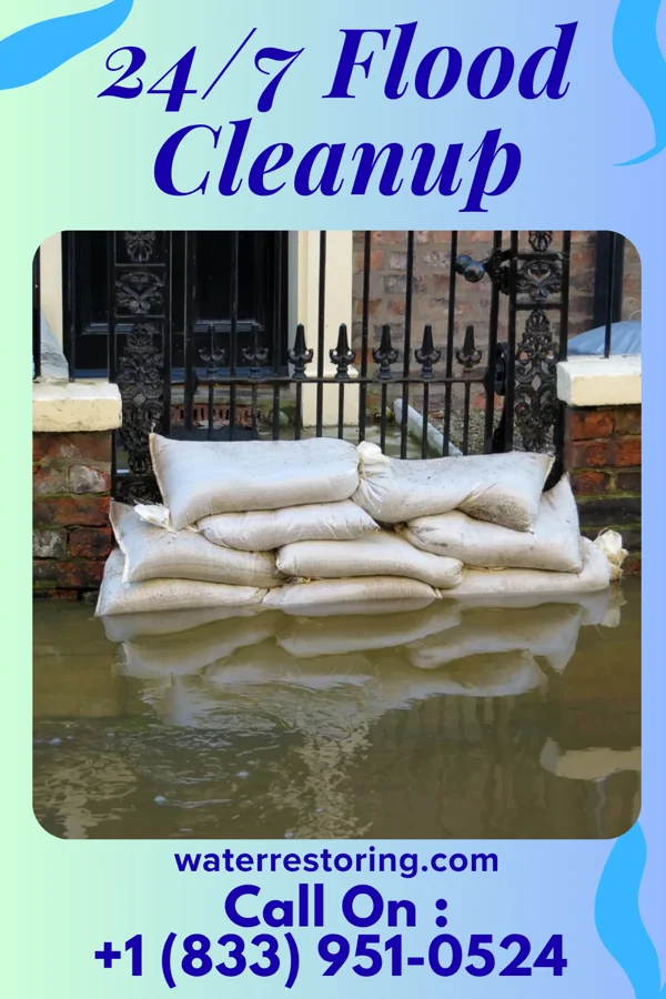 24/7 Flood Cleanup in Coates, MN