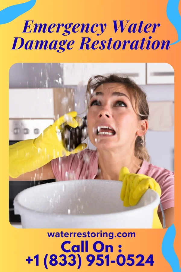 Emergency Water Damage Restoration in Coates, MN