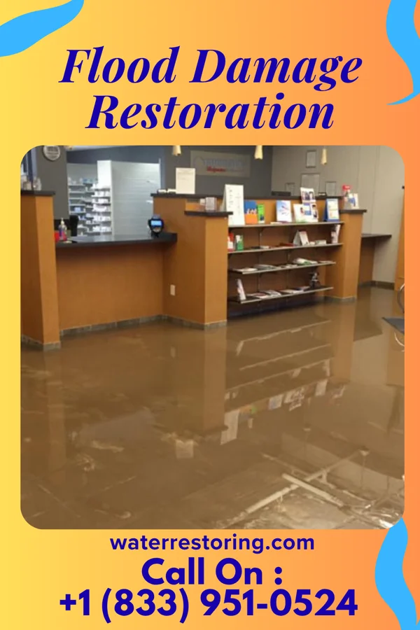 Flood Damage Restoration in Coates, MN