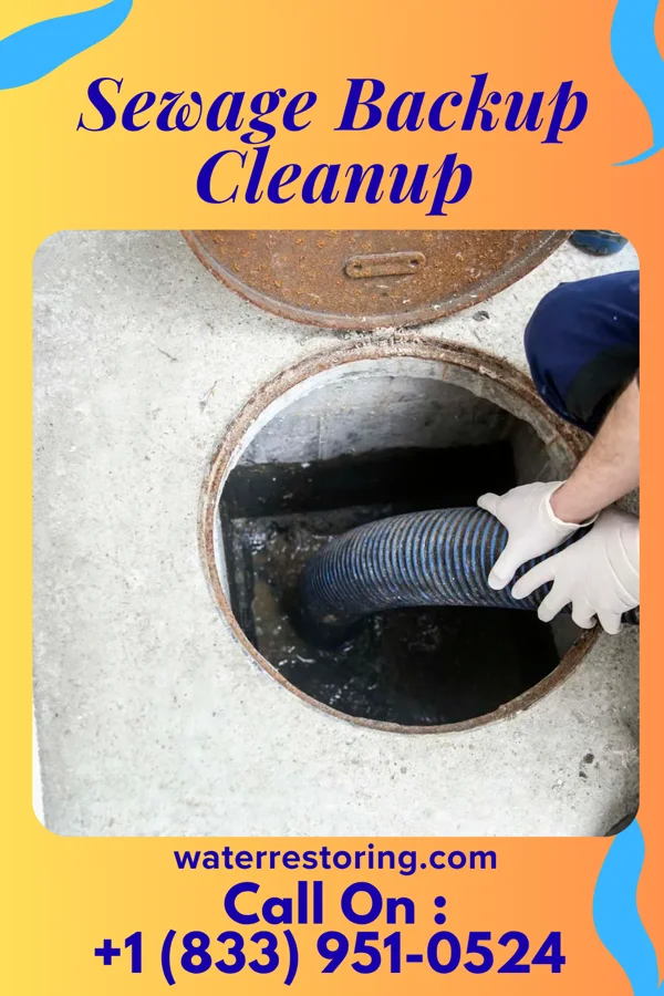 Sewage Backup Cleanup in Coates, MN
