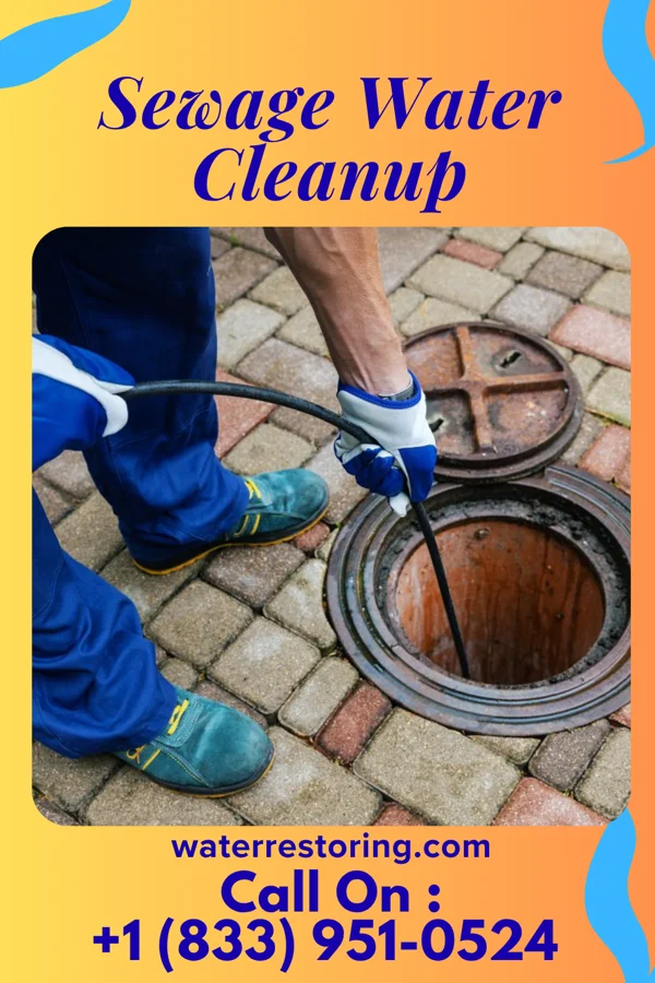 Sewage Water Cleanup in Coates, MN