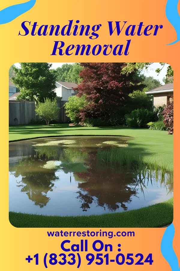 Standing Water Removal in Coates, MN